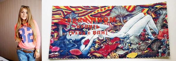 mdma Новодвинск