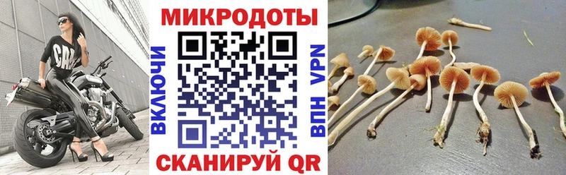 Псилоцибиновые грибы прущие грибы  Хвалынск 
